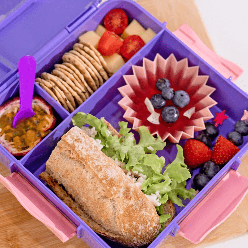 MONTII.CO Bento Plus | Grape
